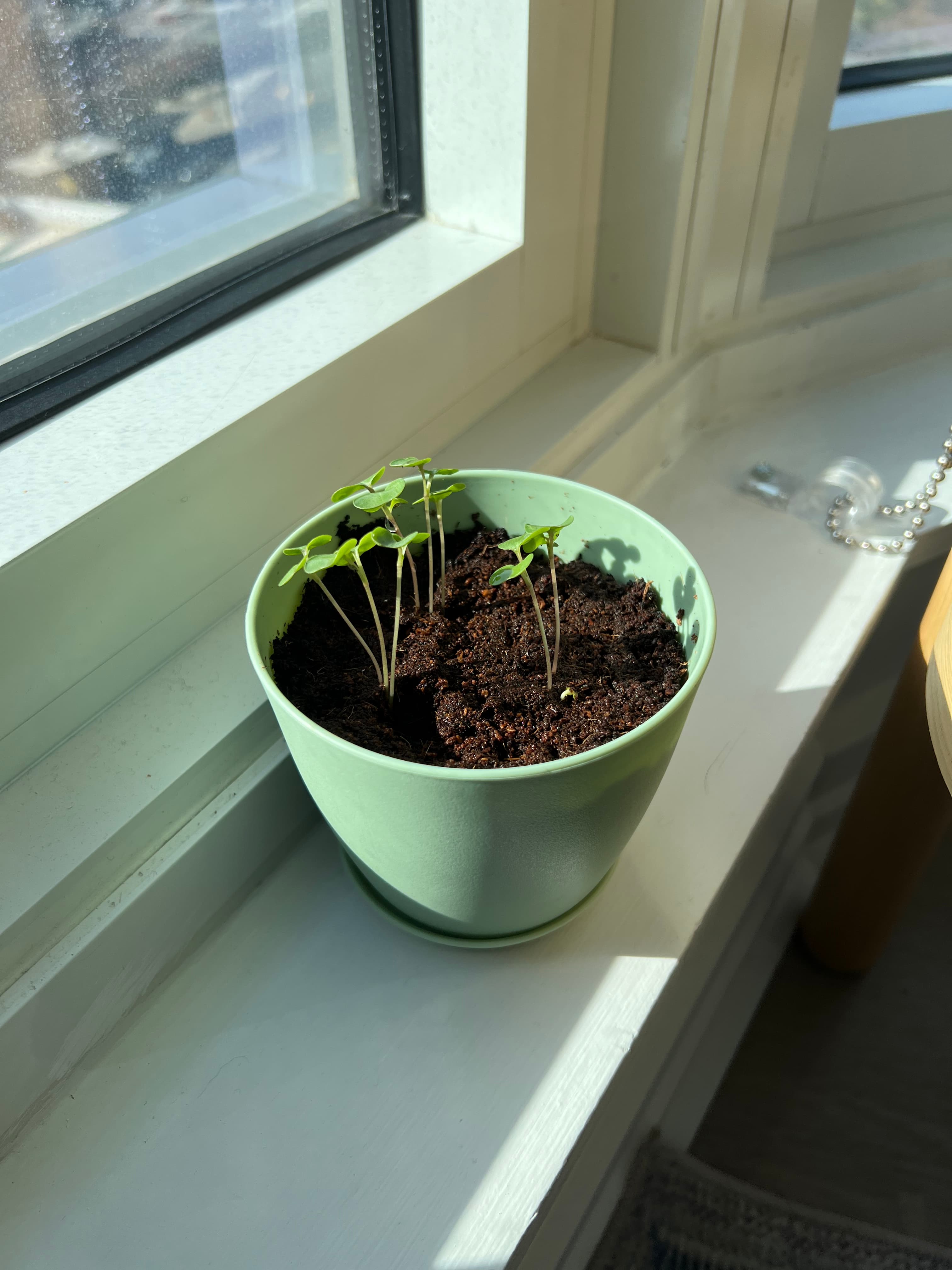 Monthly Garden Kit